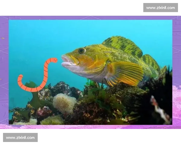 岱山海钓者意外发现：不同鱼类竟有独特 “语言”，百年渔谚暗藏声学密码