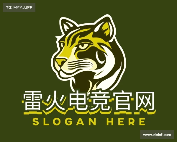 了解雷火电竞官网